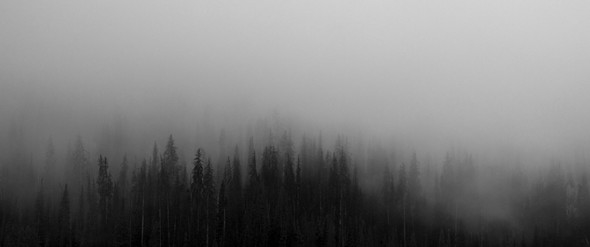 Listing 1 vxvugidnmt4vzegx4dl6gq